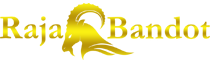 logo rajabandot